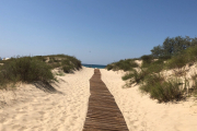 sofia-anapa_beach_07